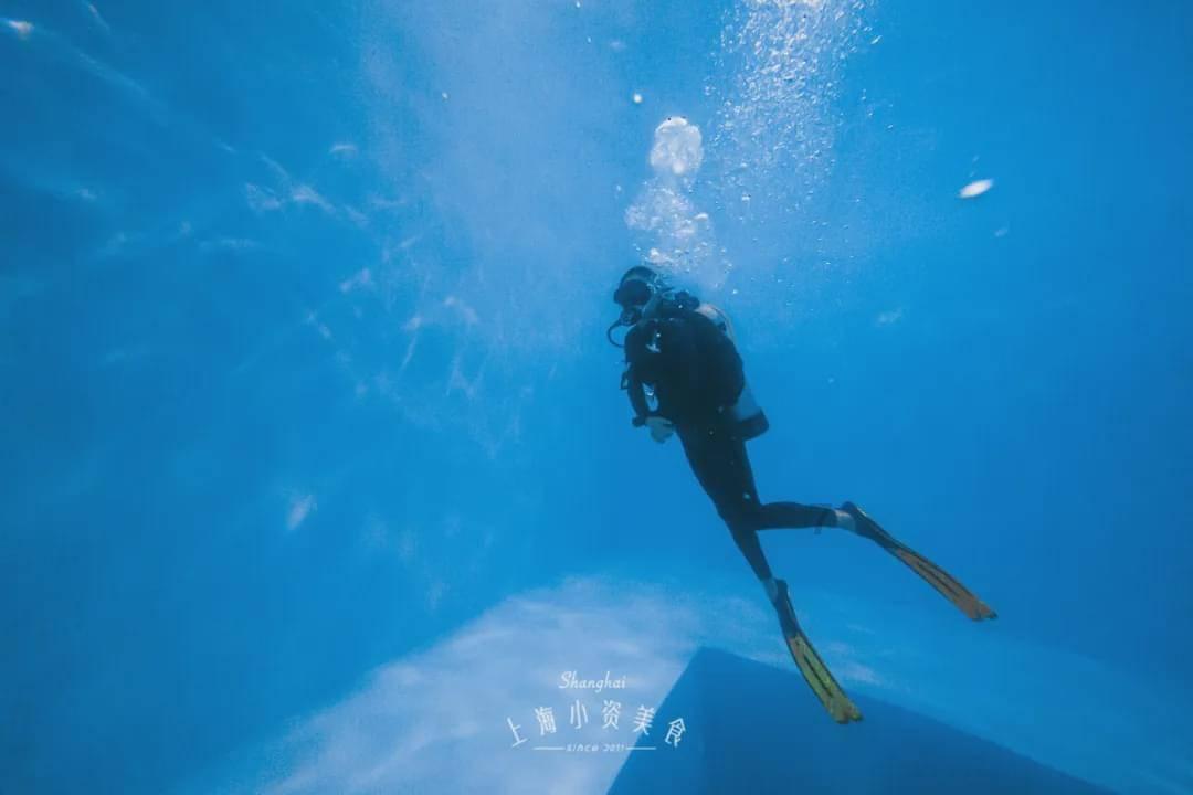 北控VS宁波拒绝大爆冷!邹雨宸称霸内线,闵鹿蕾要送阿的江11连败